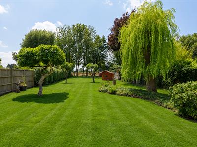 Picture 33